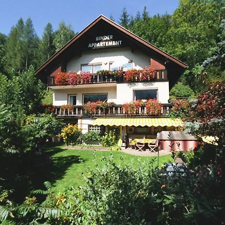 Apartment Binder Bad Kleinkirchheim