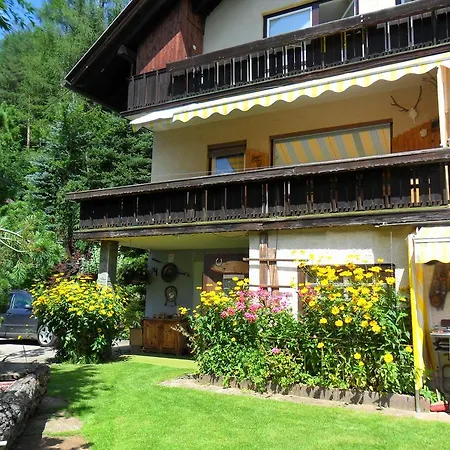 Διαμέρισμα Binder Bad Kleinkirchheim